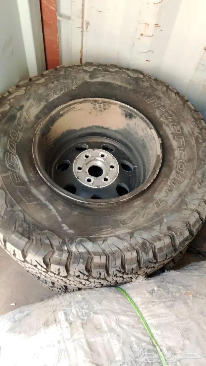 جنوط رابتر 0