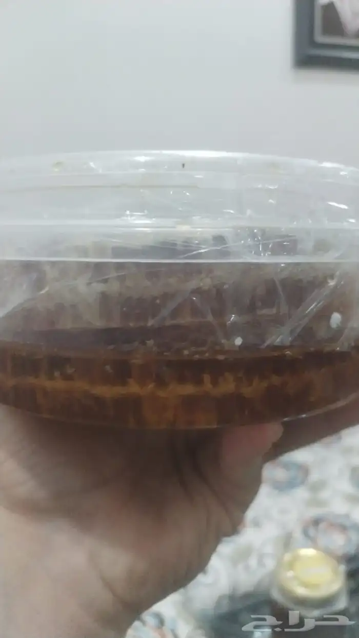 عسل الطلح و السدر 3
