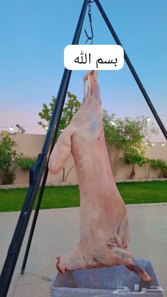 معلم مشاوي الرياض المزاحمية 0