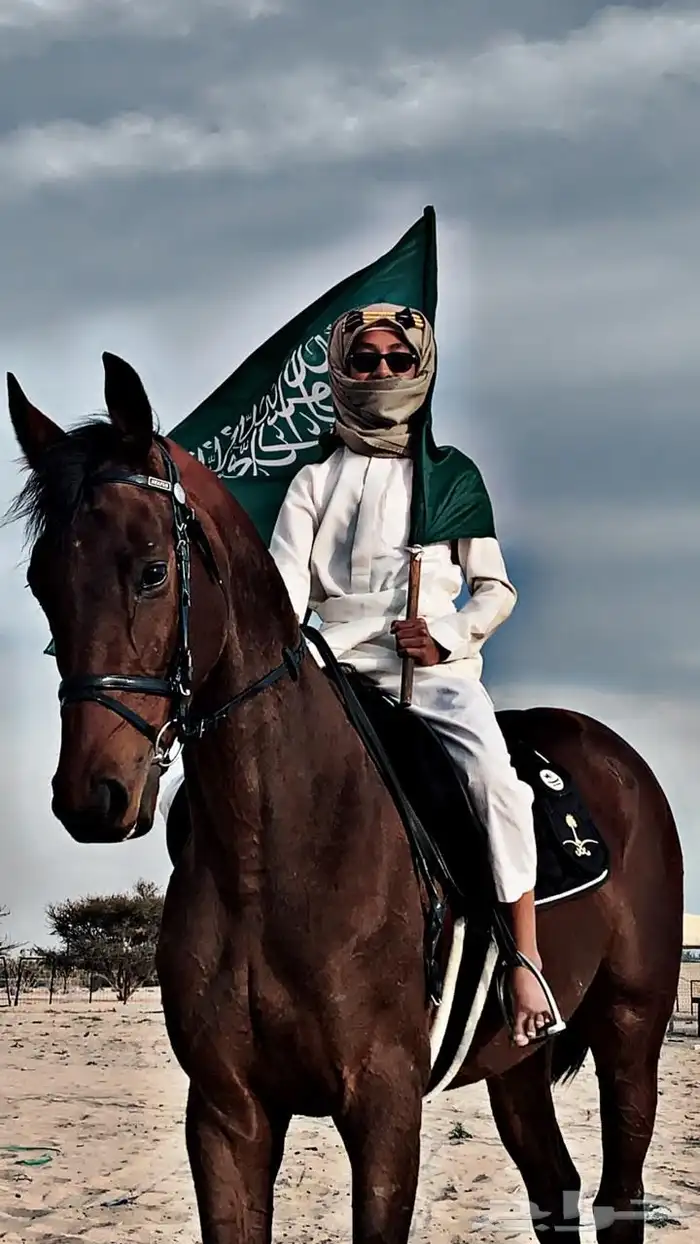 فرس إنجليزيه بأوراق 2