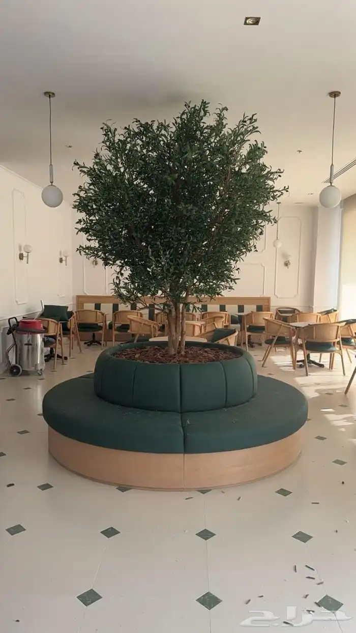 تنسيق الحدائق المنزلية شجر 1