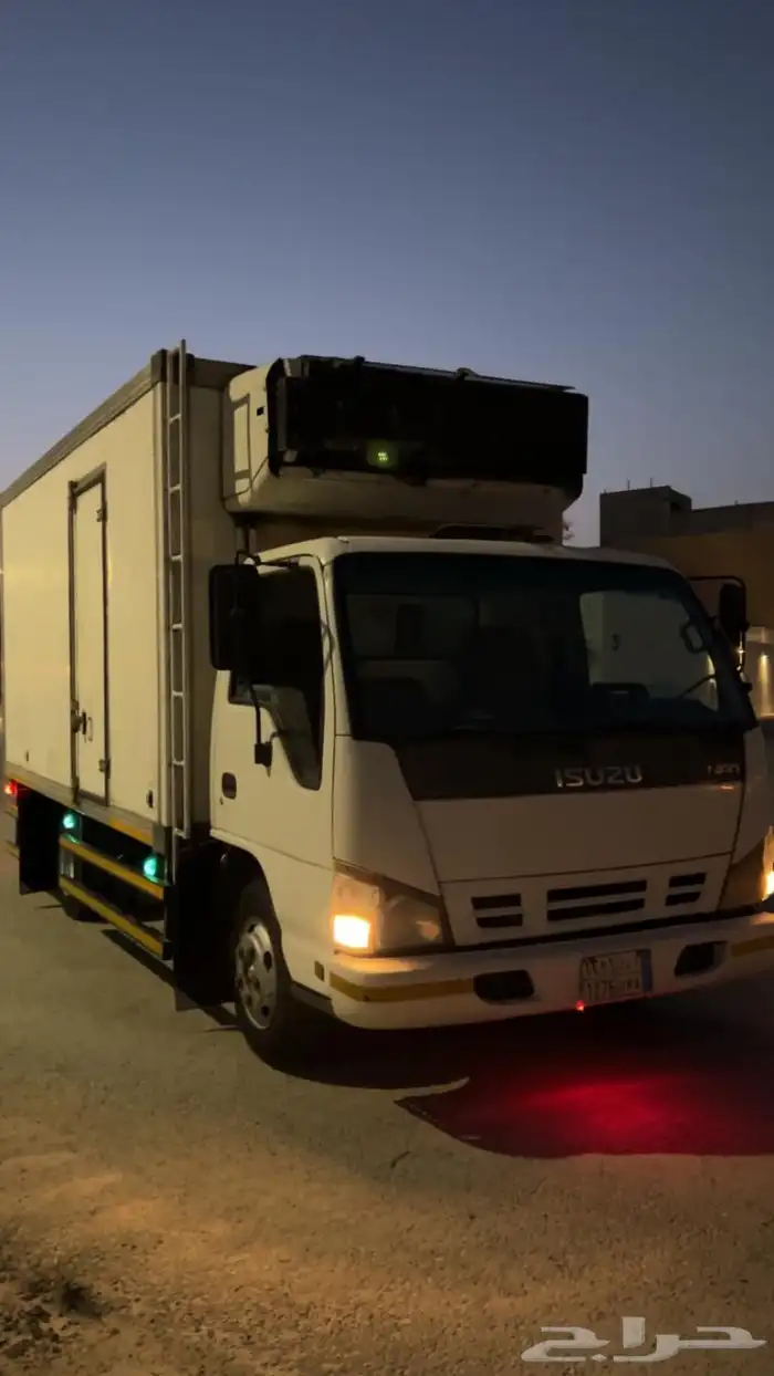 دينا موديل 2006 5