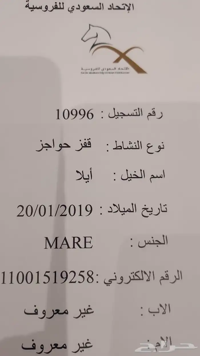 فرنس انجليزيه 9