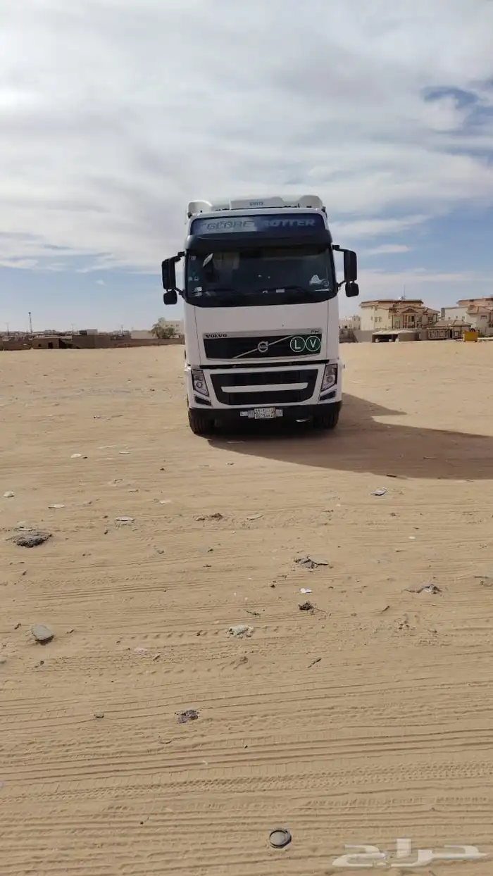 راس فولفو 2013 9