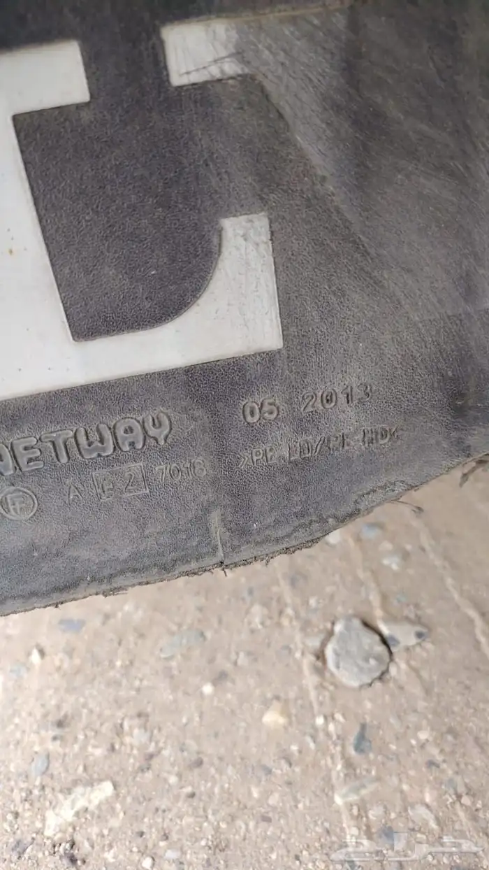 راس فولفو 2013 6