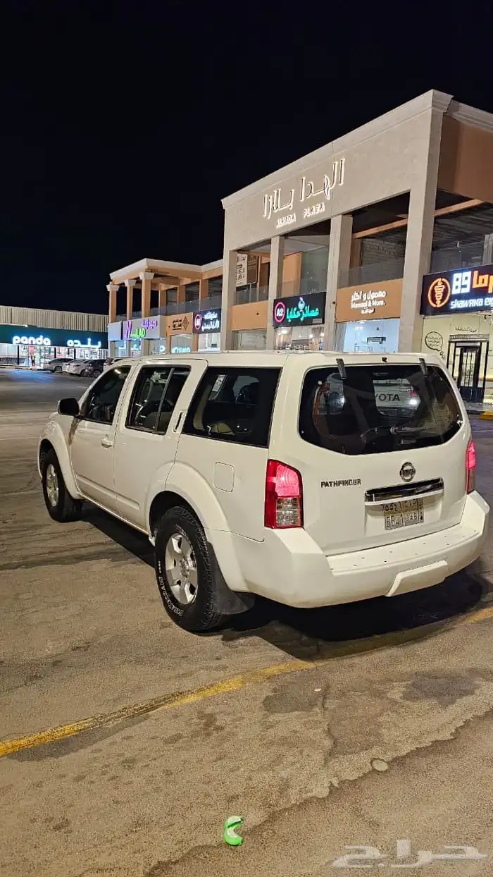 باثفندر 2010 3