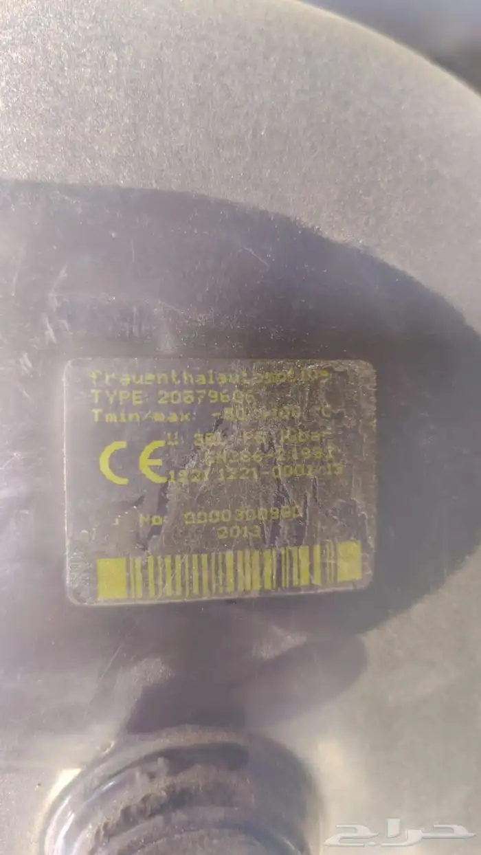 راس فولفو 2013 7