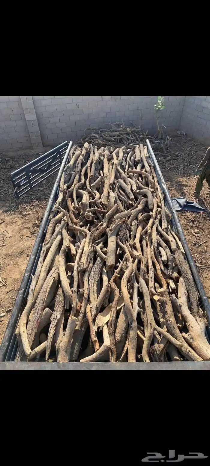 البيع دنا شرط يبس 1