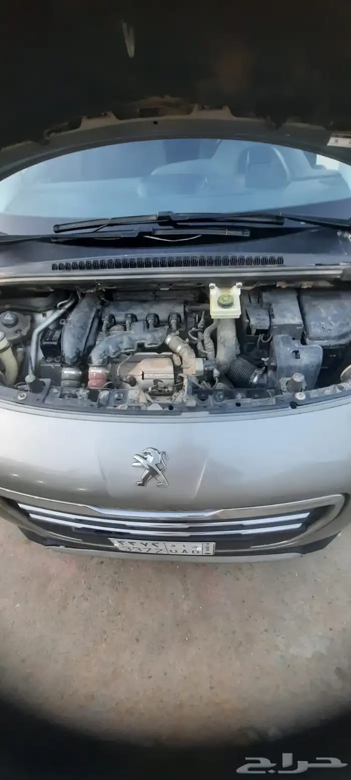 الدرب جازان 2