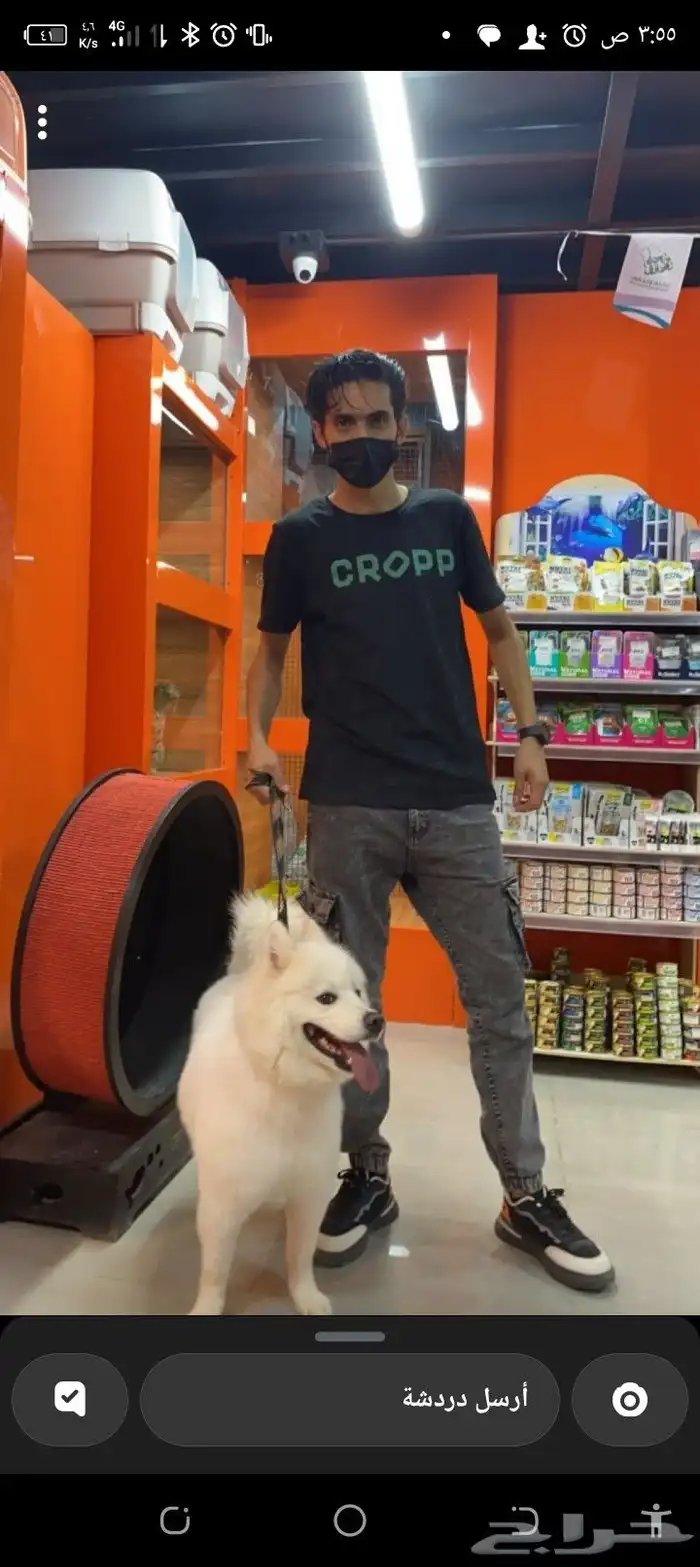 معلم في مجال الحيوانت الأليفه ولعنايه فيهم 0