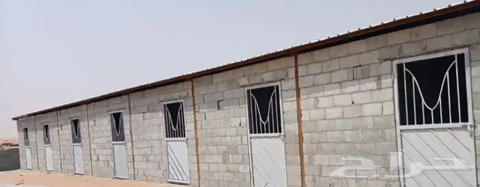 اسطبل خيل غرف بواديك للأجار 2