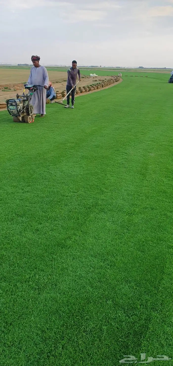 نجيله طبيعي ثيل طبيعي 8