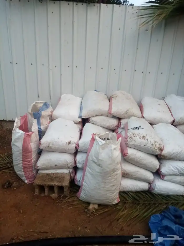 تمر علف للمواشي 45 كيس يابس 0