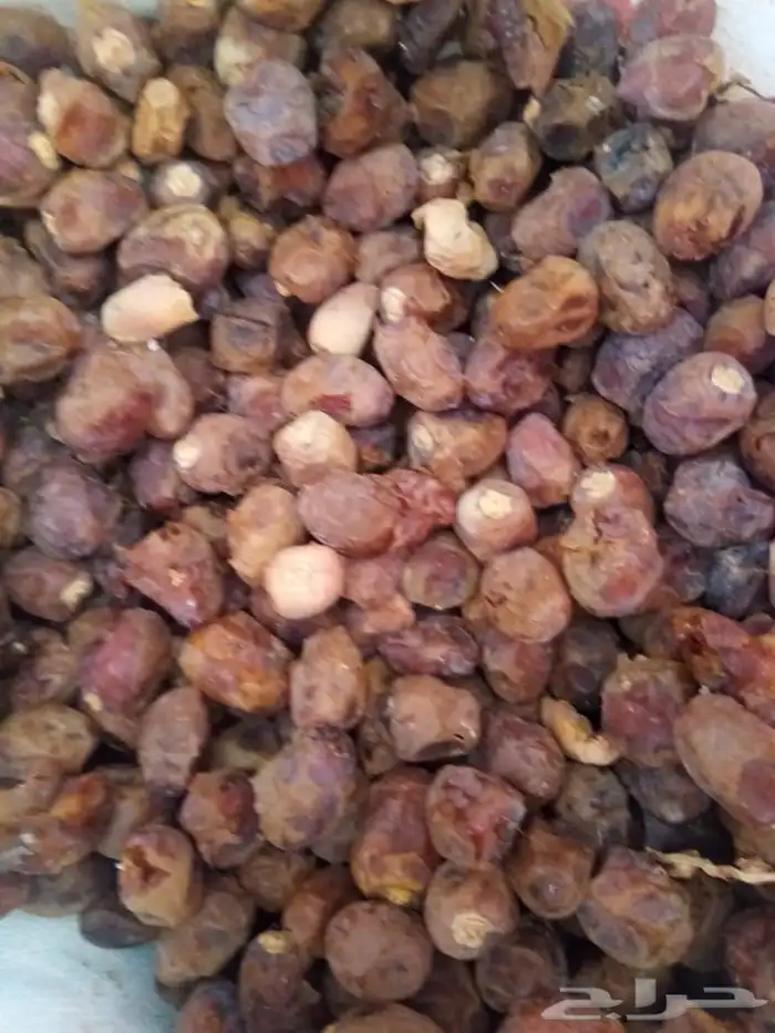 تمر علف للمواشي 45 كيس يابس 2