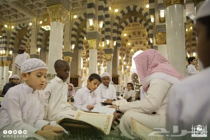 معلم قران بالتجويد المتقن 0