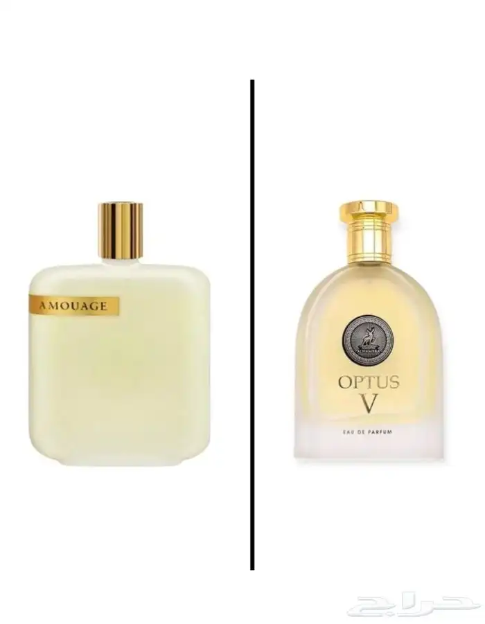 بديل عطر امواج الابيض من MAISON AL HAMBRA 0