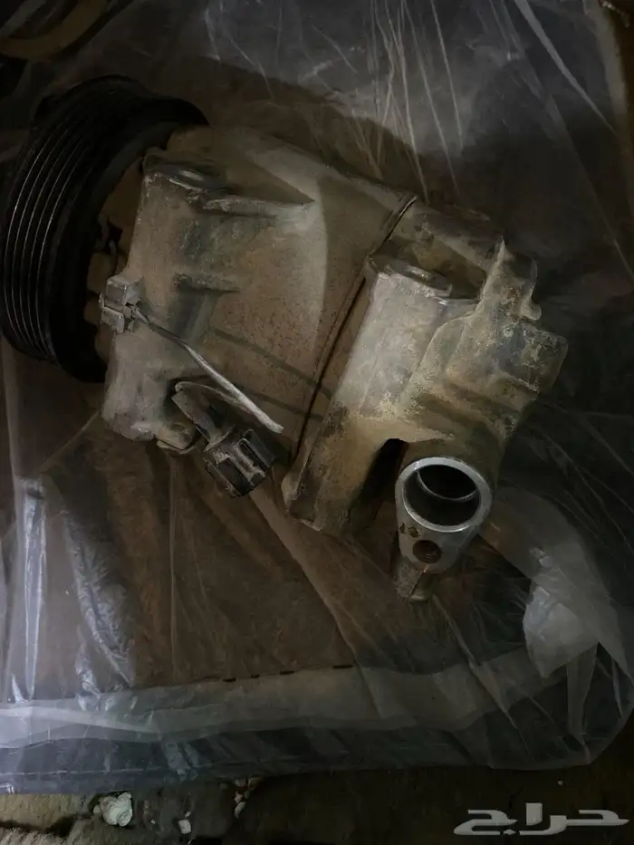 كبرسل التيماء 2005 1