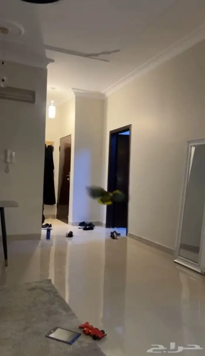 فرخ امزوني بلوفرنتد جاكو مستوى بطل تم البيع 4