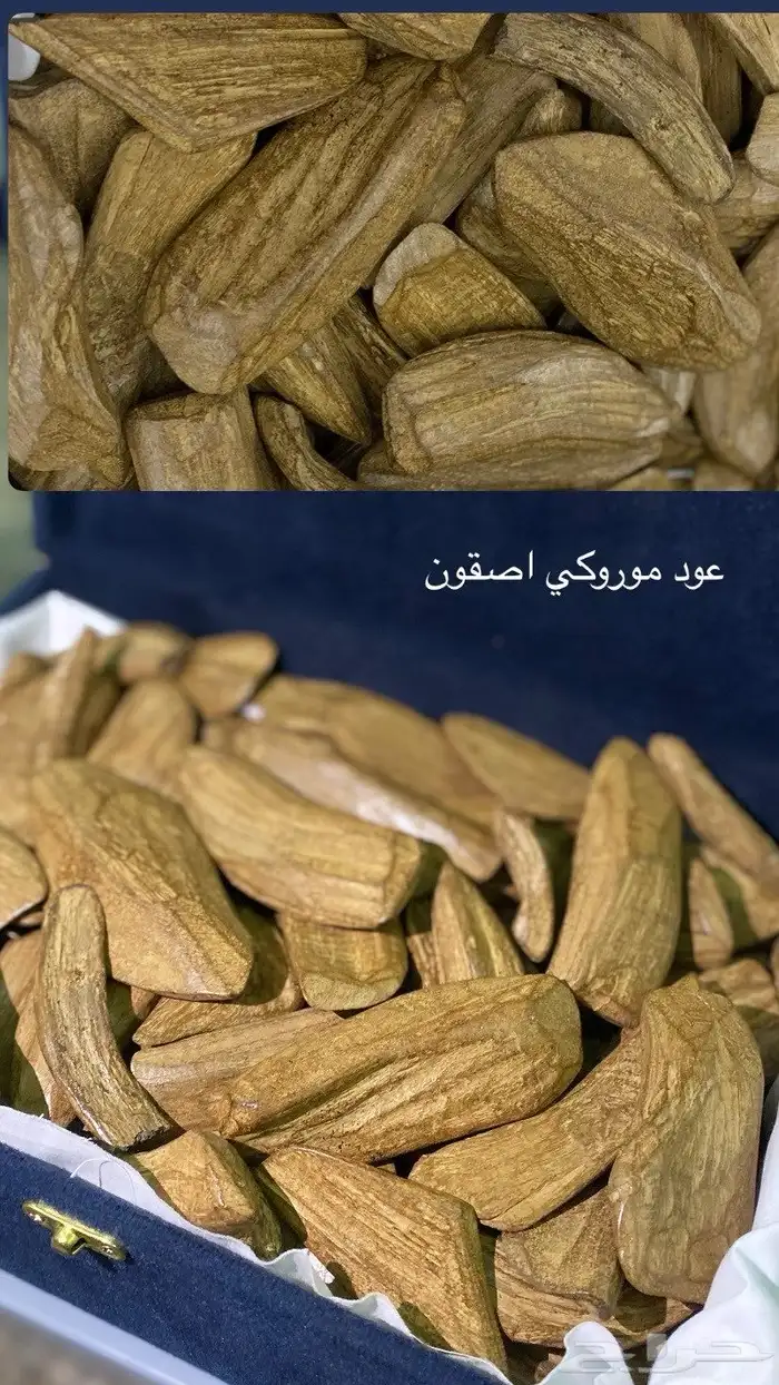عود كلمنتان ملكي 2