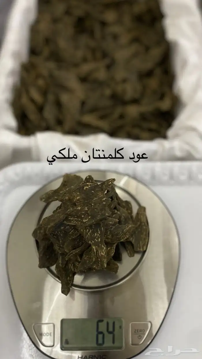 عود كلمنتان ملكي 1