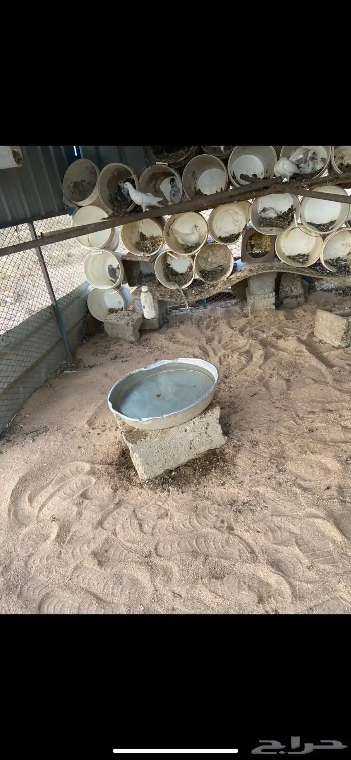 حمام فرنسي 1