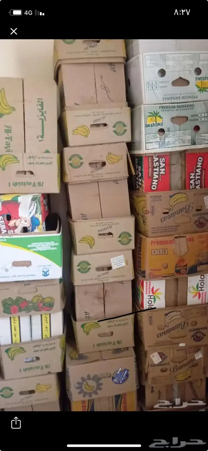 كرتين موز ناطيفه 0