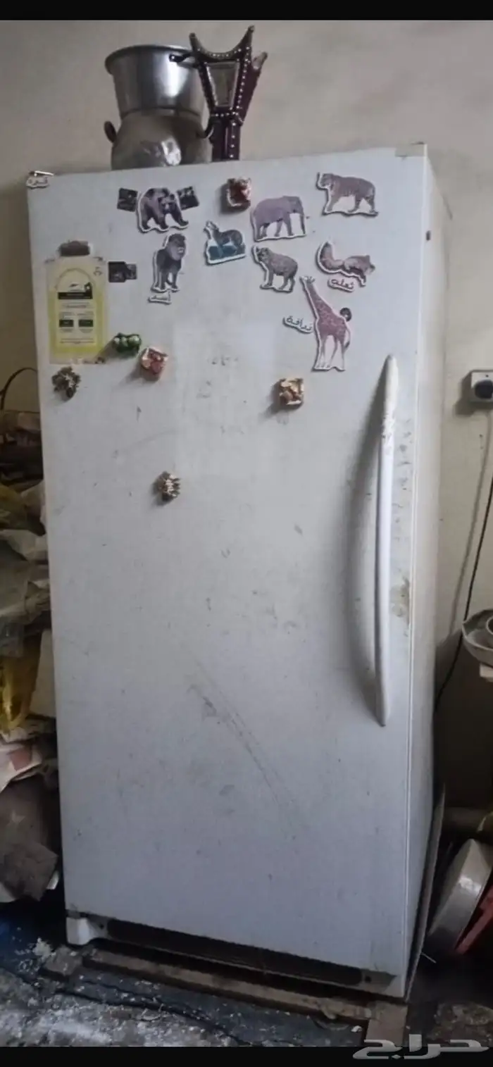 فريزر واقف كبير واكياس رز 2 الشعلان 5 كيلو والوليمه 10 كيلو 0