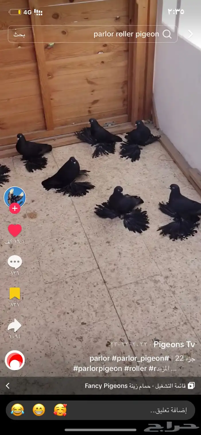 مطلوب حمام ايراني تبريز او ايراني همداني 2