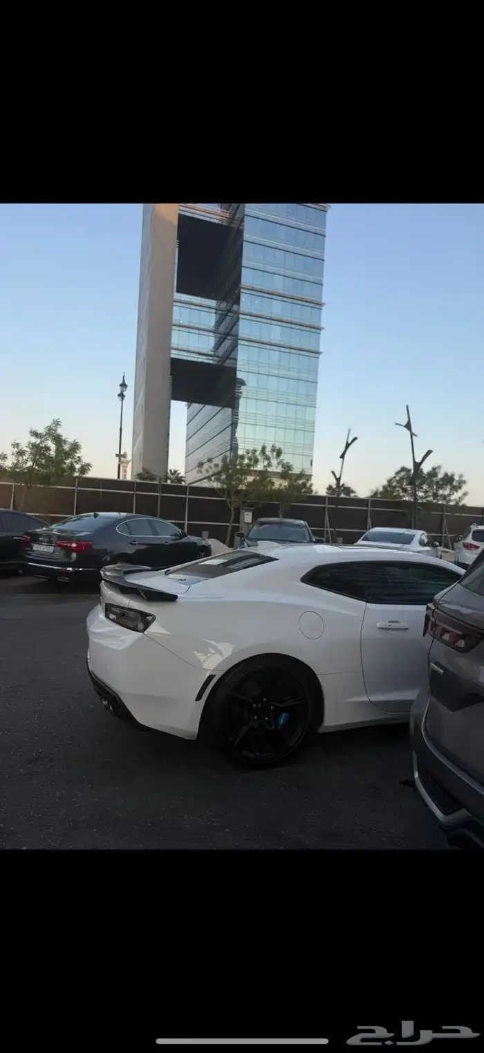 كمارو ss2 2017 فئه الخمسين عام 4