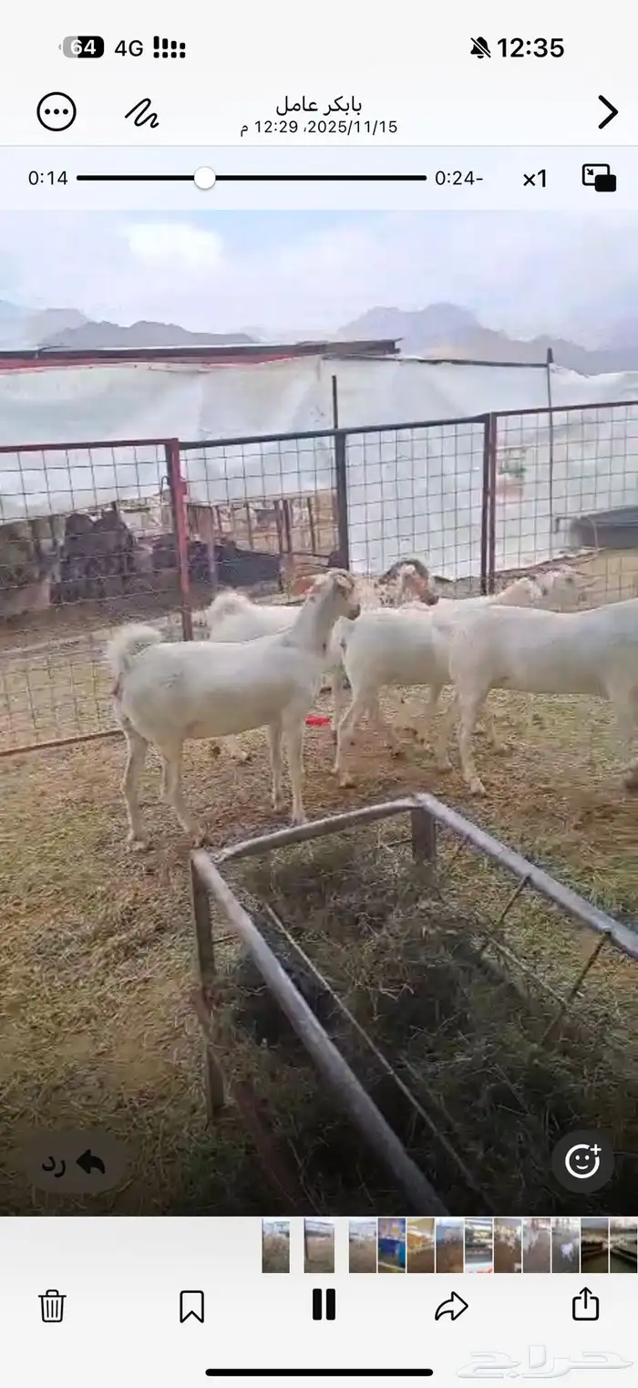 جفاربرض دفيع 2