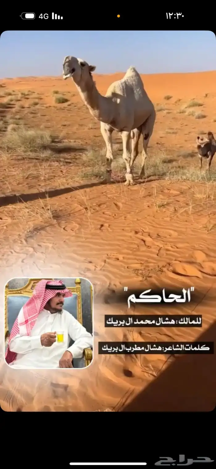 قعود كفو جده حاكم ابن قريع 1