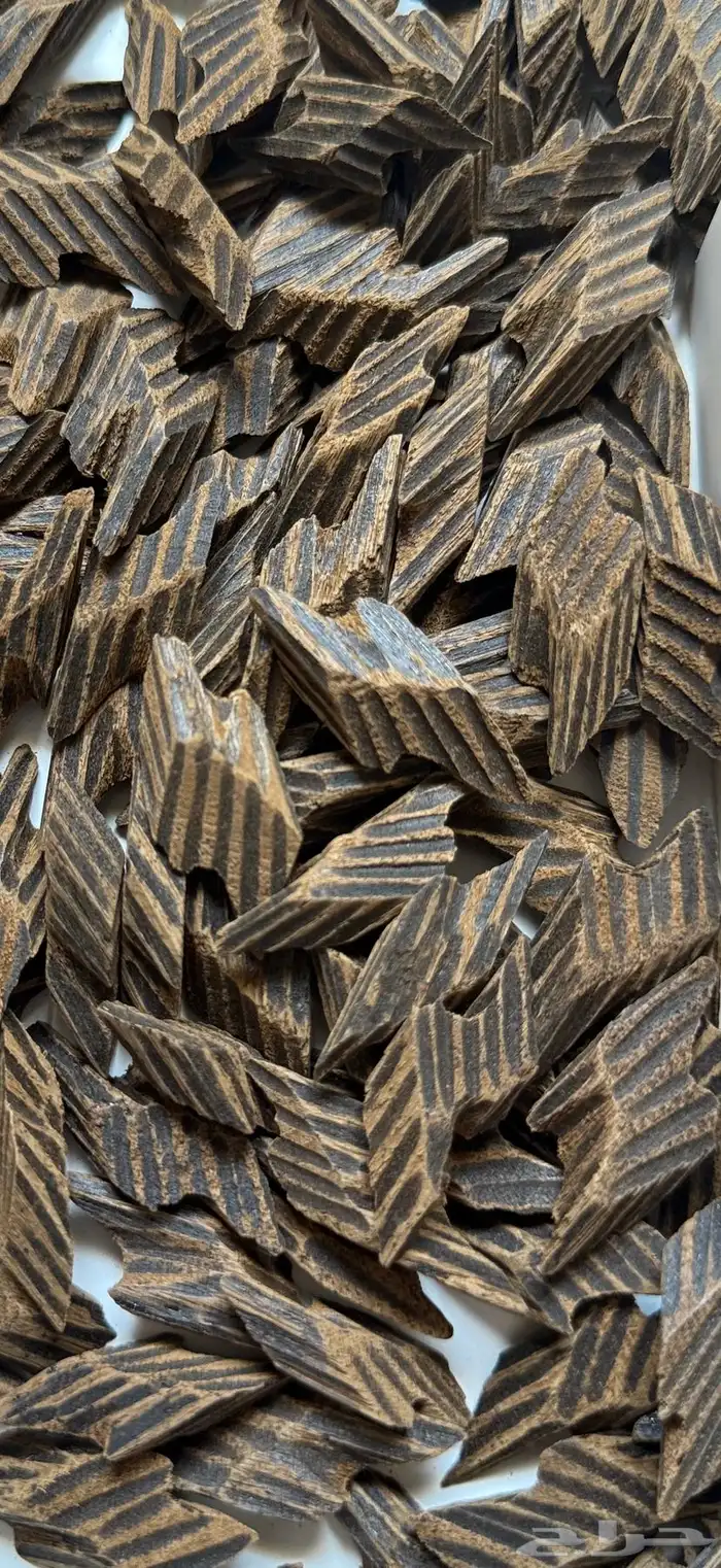 عود تايقر كمبودي 1