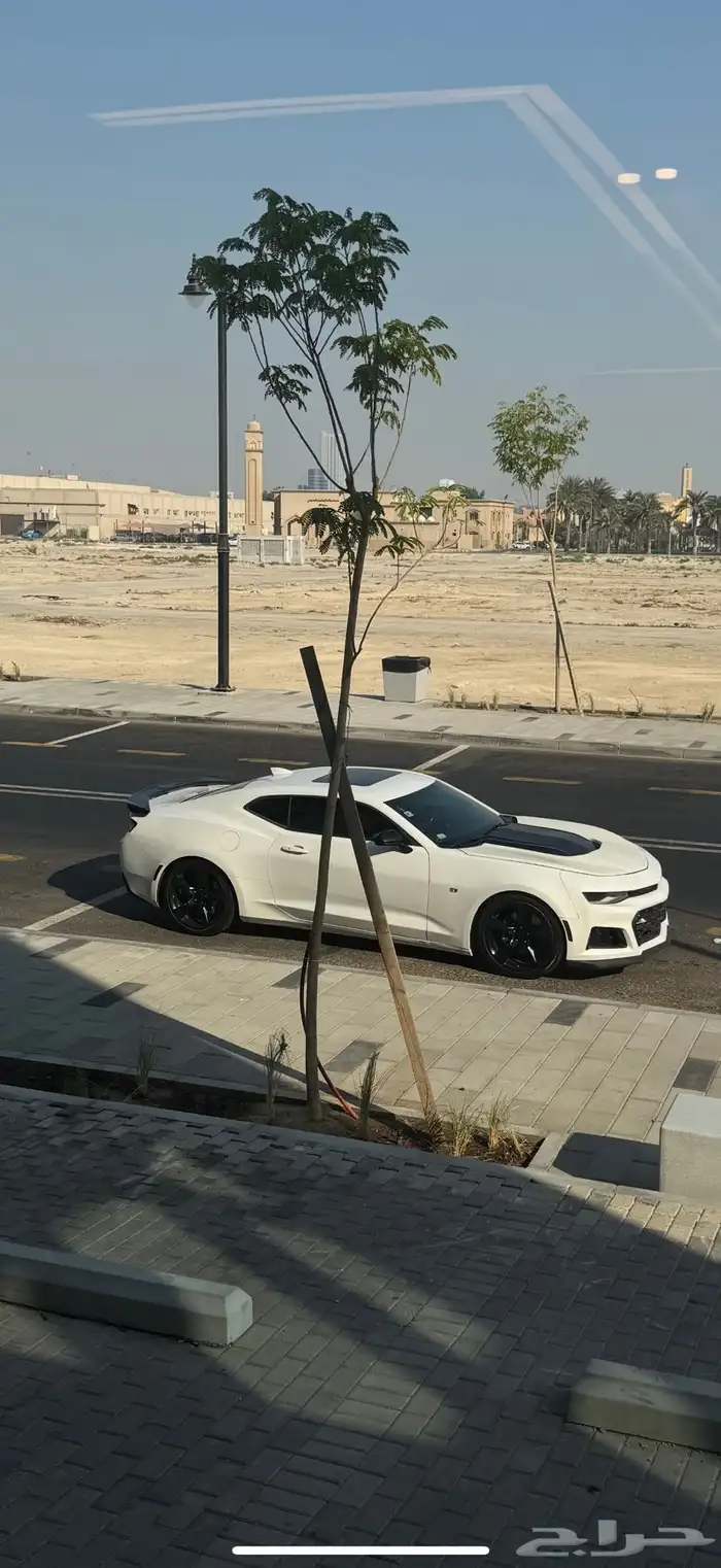 كمارو ss2 2017 فئه الخمسين عام 3