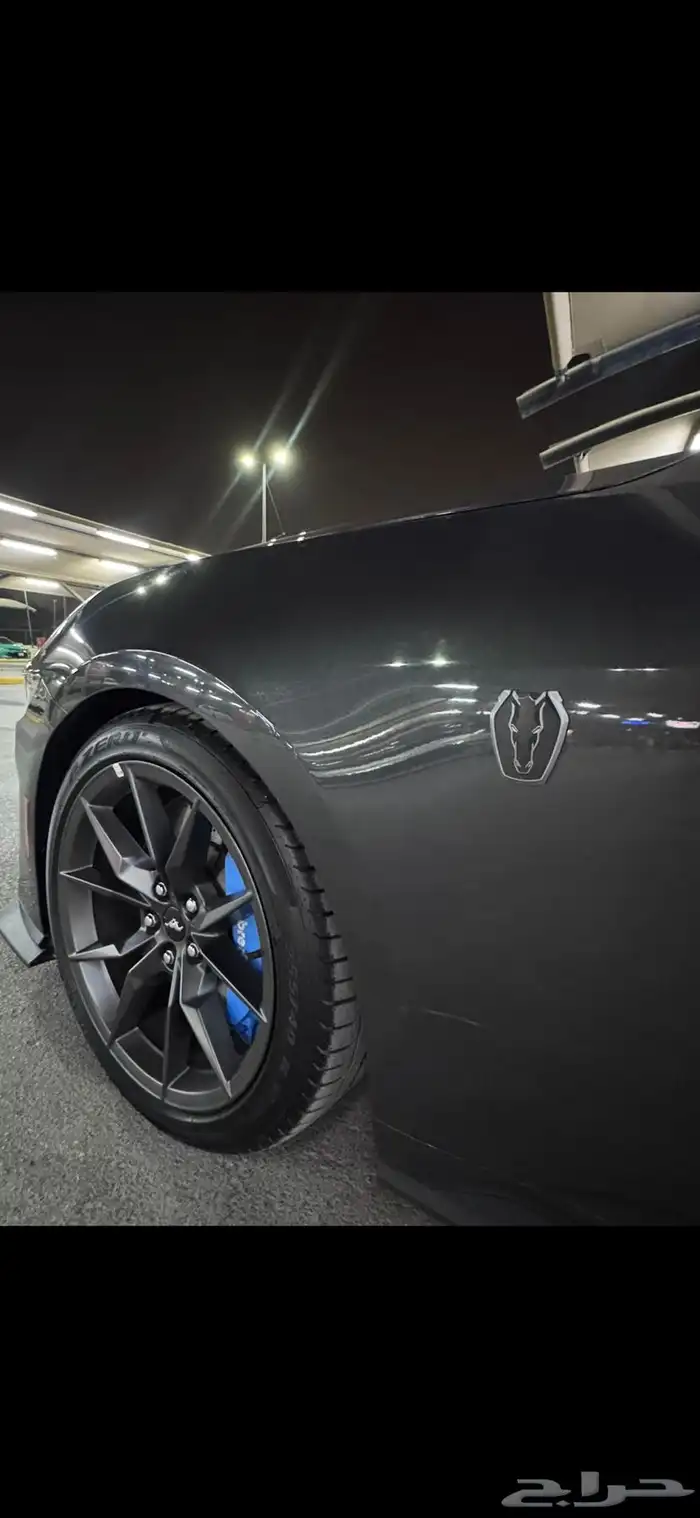 موستنق دارك هورس فرصه بسعر مميز 9