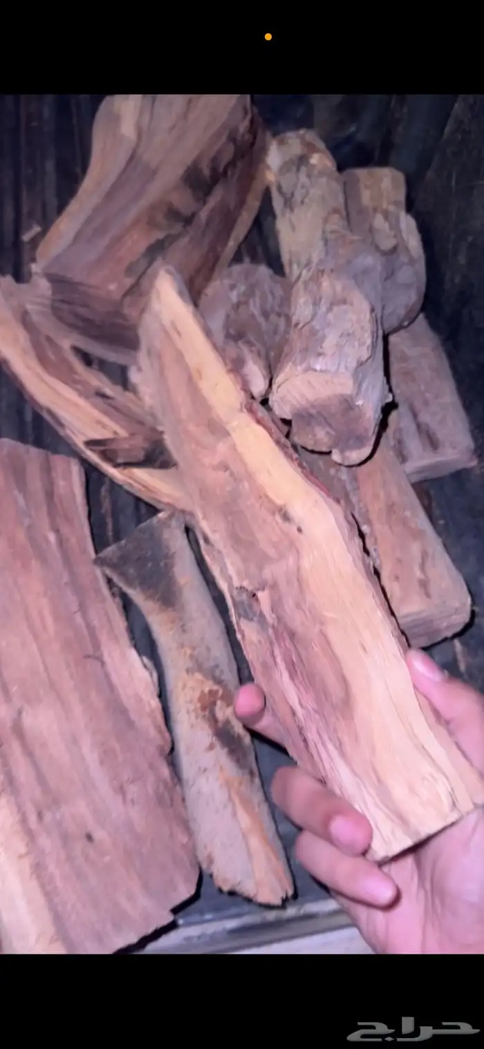 حطب وادي اللهب مشابه لسمر أفريقي 1