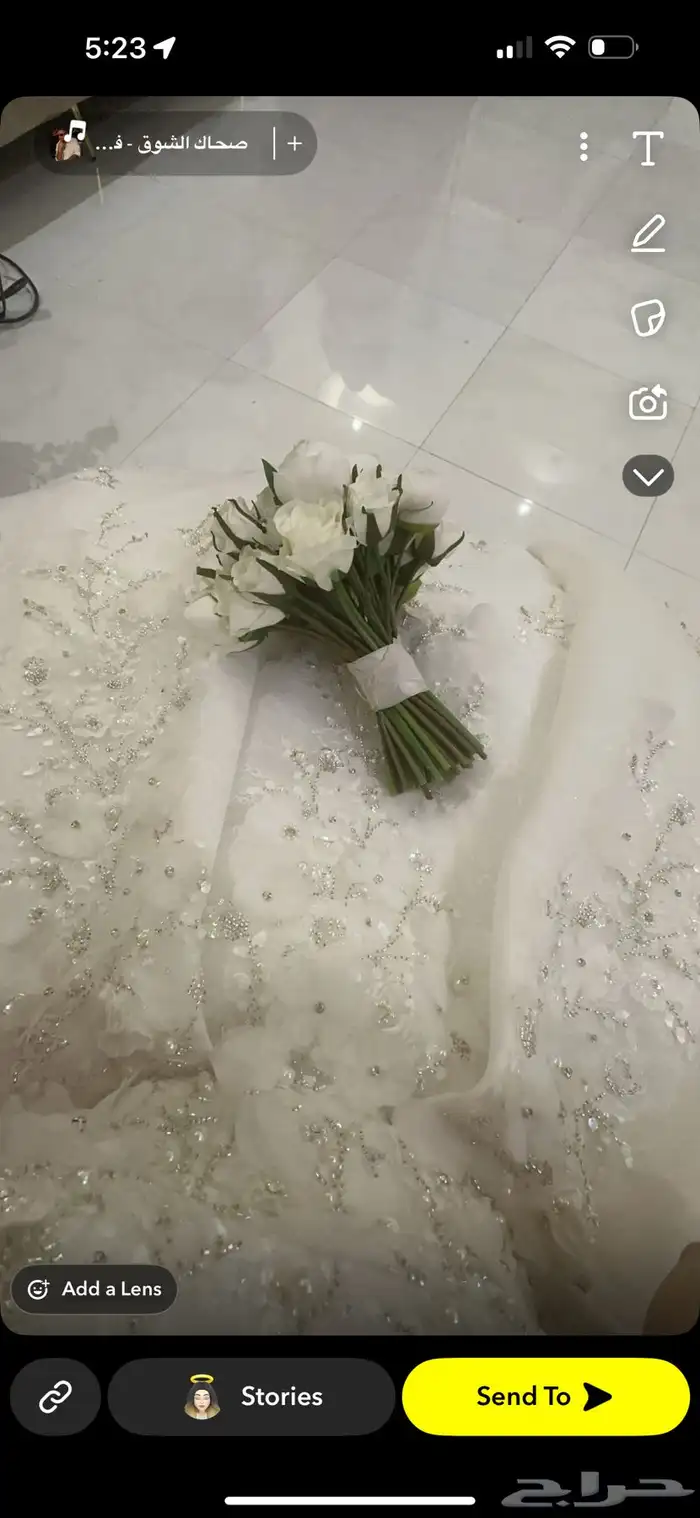 فستان عروس من الهام كوتور 9