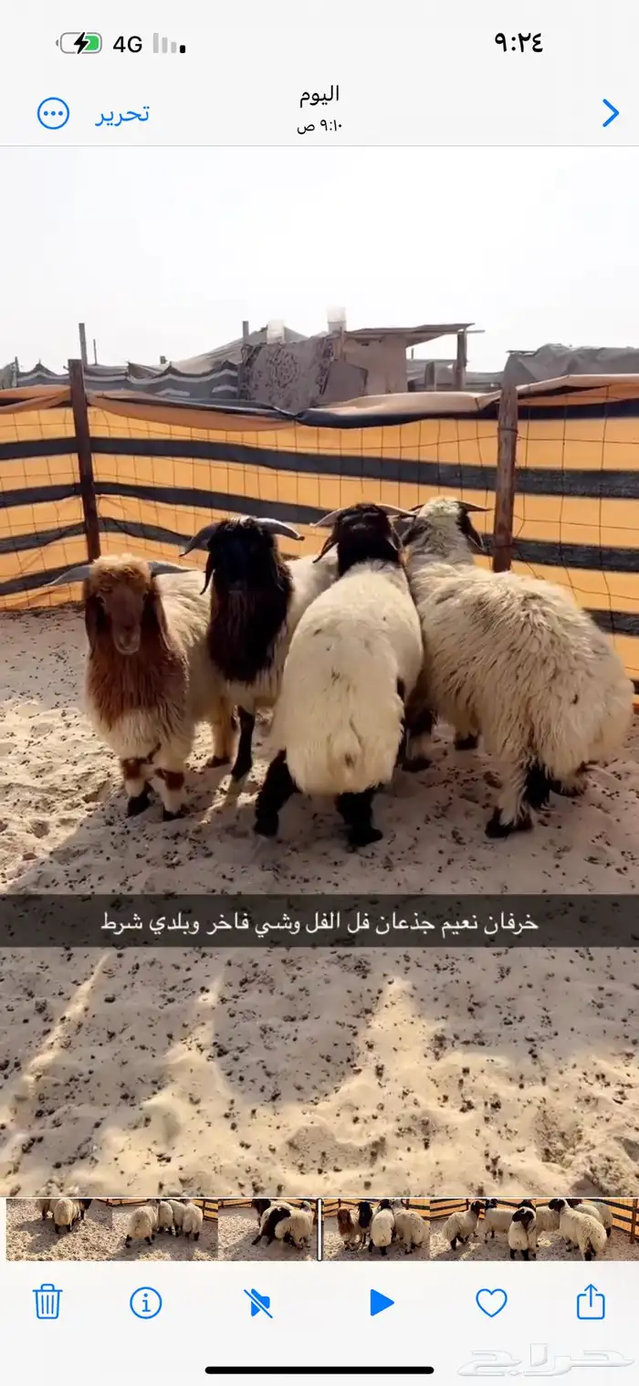 خرفان نعيم جذعان 1