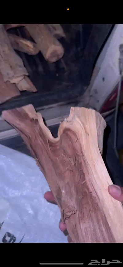 حطب وادي اللهب مشابه لسمر أفريقي index