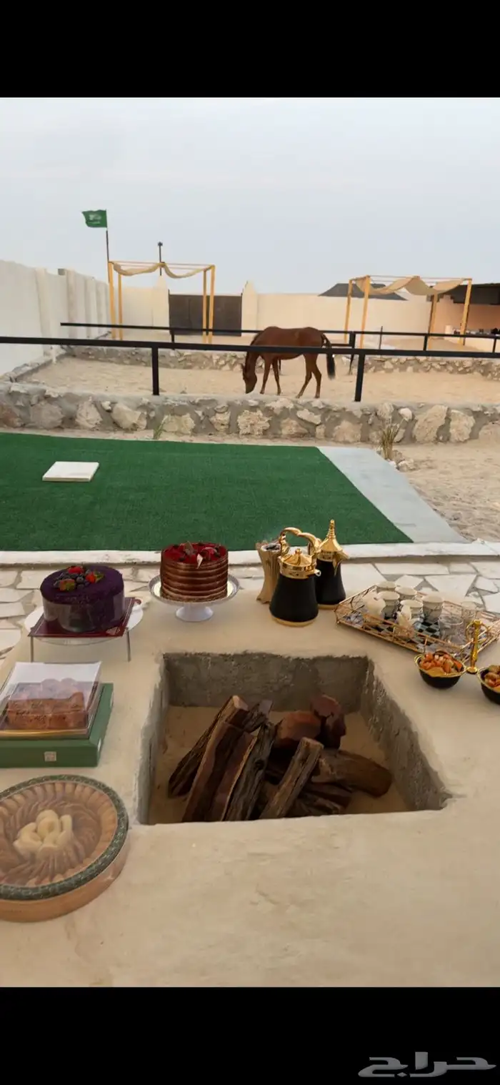 تخييم شتوي داخل المربط 0