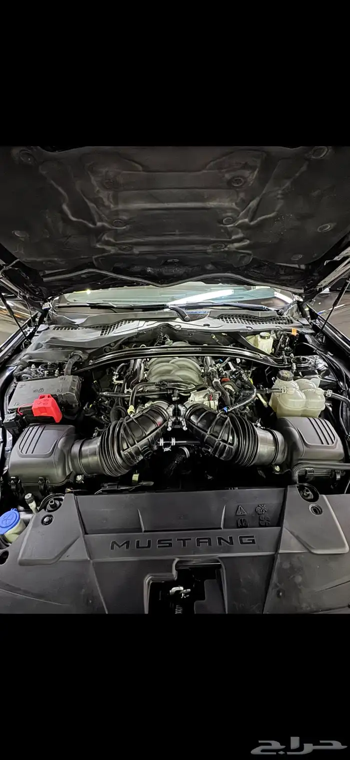 موستنق دارك هورس فرصه بسعر مميز 25