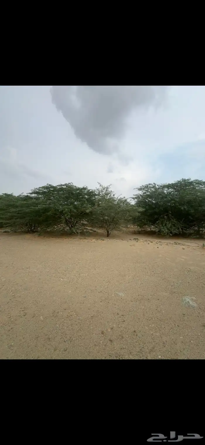 ارض للبيع بمقدمة مخطط ولي العهد 9ب المربع الثالث جنب مسجد 1