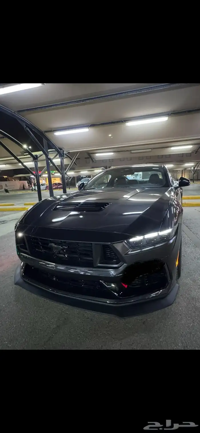 موستنق دارك هورس فرصه بسعر مميز 17