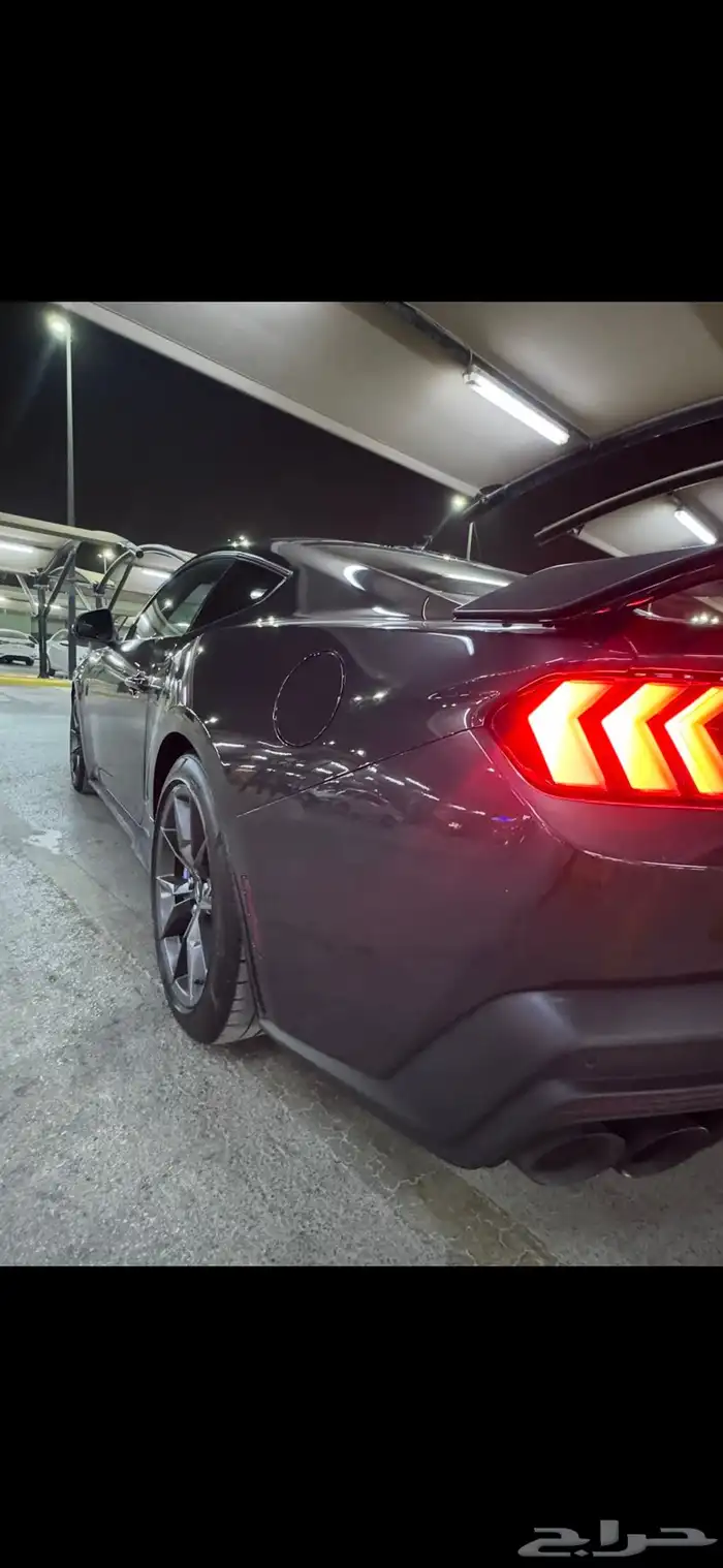 موستنق دارك هورس فرصه بسعر مميز 11