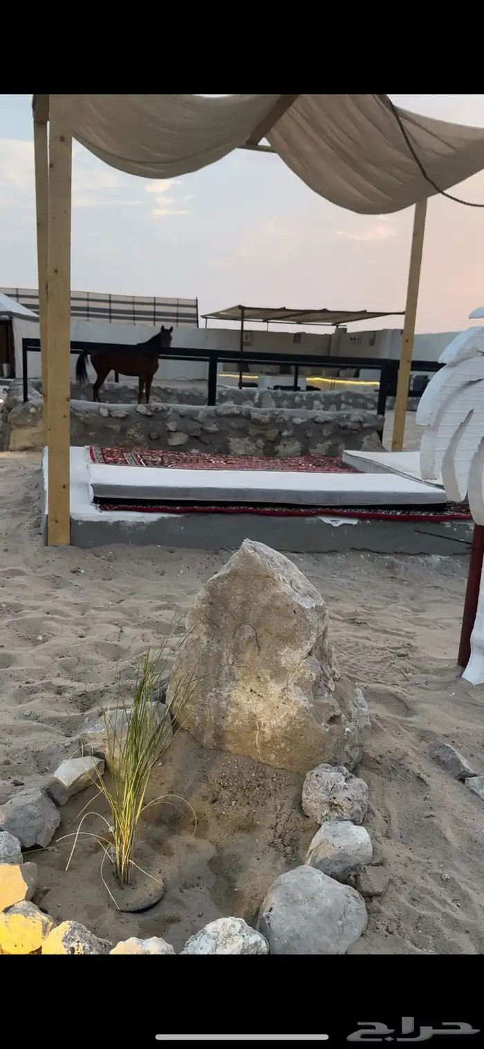 تخييم شتوي داخل المربط 4