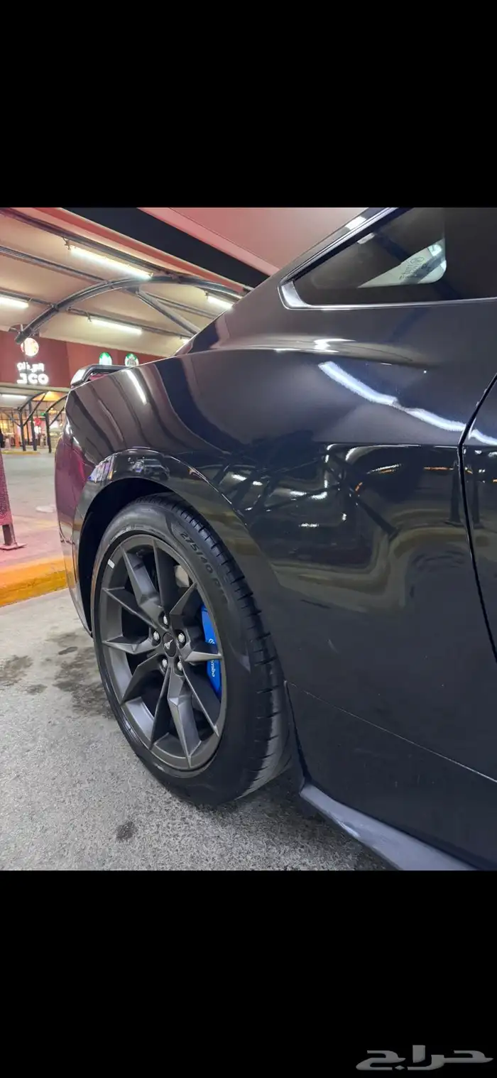 موستنق دارك هورس فرصه بسعر مميز 8