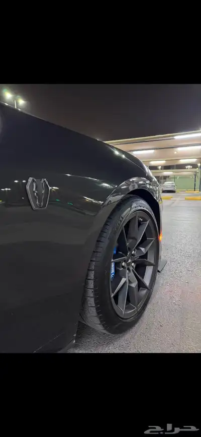 موستنق دارك هورس فرصه بسعر مميز index