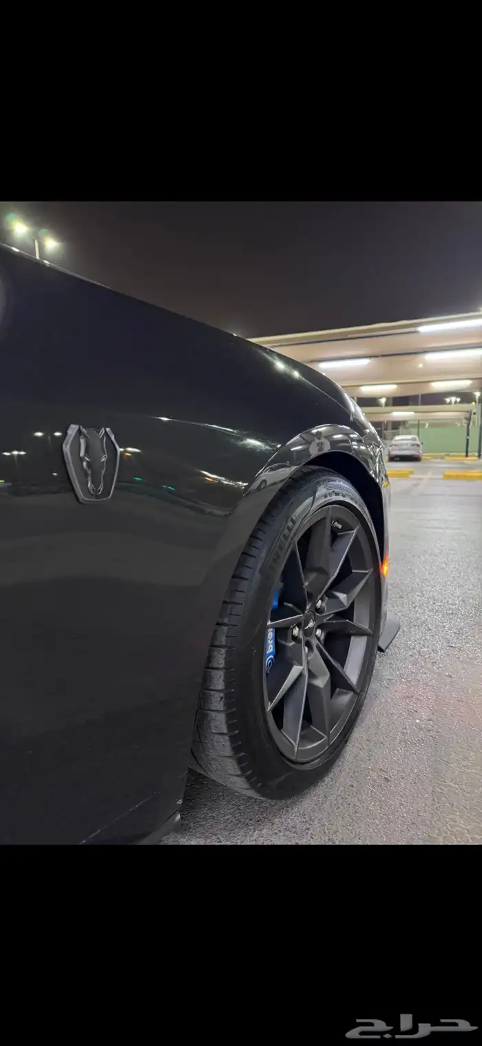 موستنق دارك هورس فرصه بسعر مميز 7