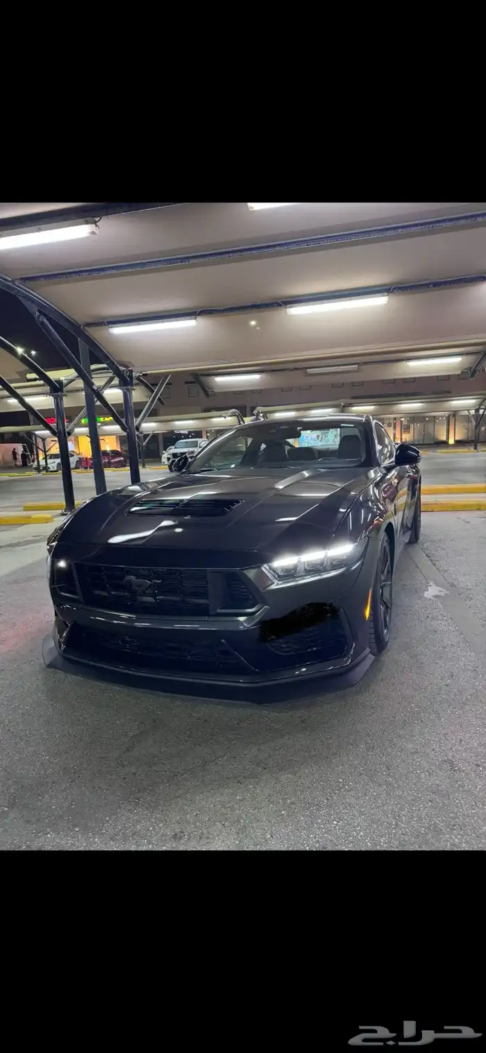 موستنق دارك هورس فرصه بسعر مميز 1