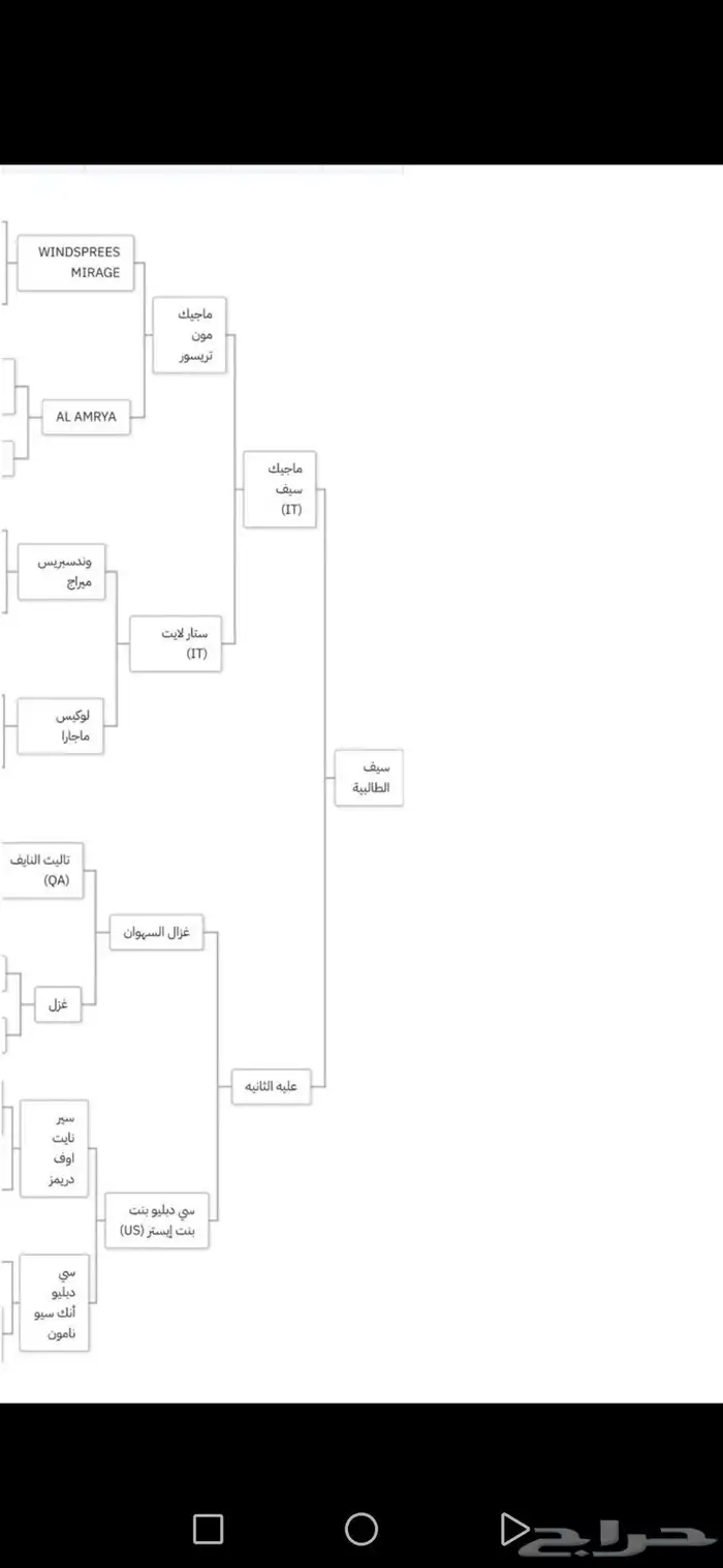فرس واهو لقاح وشيخه 1