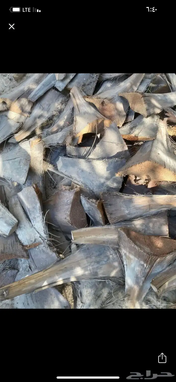 كرب نخل الخيشه 3 ريال 0